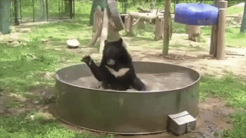 Просто гифки, всякие и разные