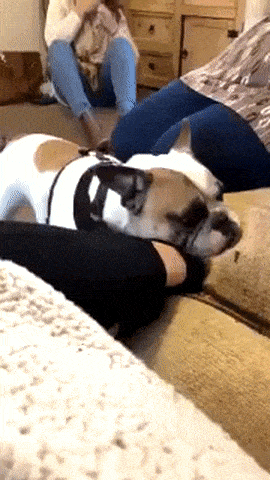 Просто гифки, всякие и разные