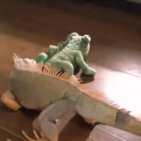 Просто гифки, всякие и разные