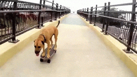 Просто гифки, всякие и разные