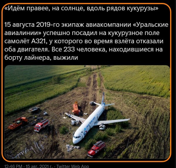 Полит. кухня вып.№ 16