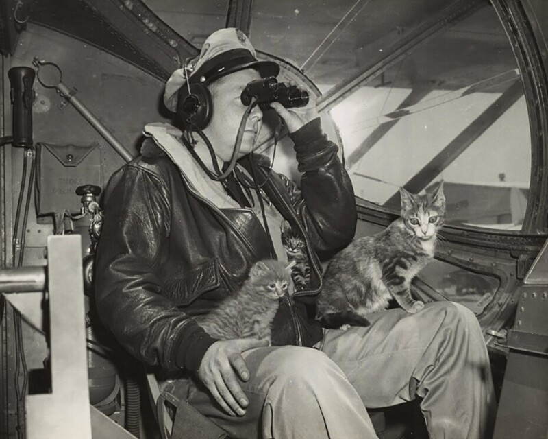 Котики участвуют в воздушном патрулировании. США, 1940-е