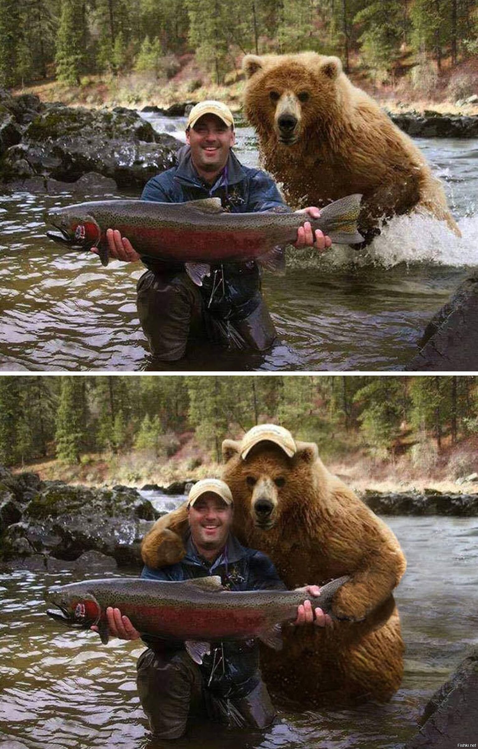 Лучшие Фото Юмор