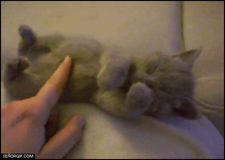 Калейдоскоп гифок на позитиве, на ночь глядучи