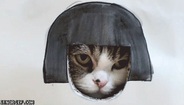 Калейдоскоп гифок на позитиве, на ночь глядучи