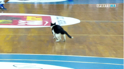 Просто гифки, всякие и разные