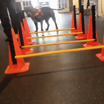 Просто гифки, всякие и разные