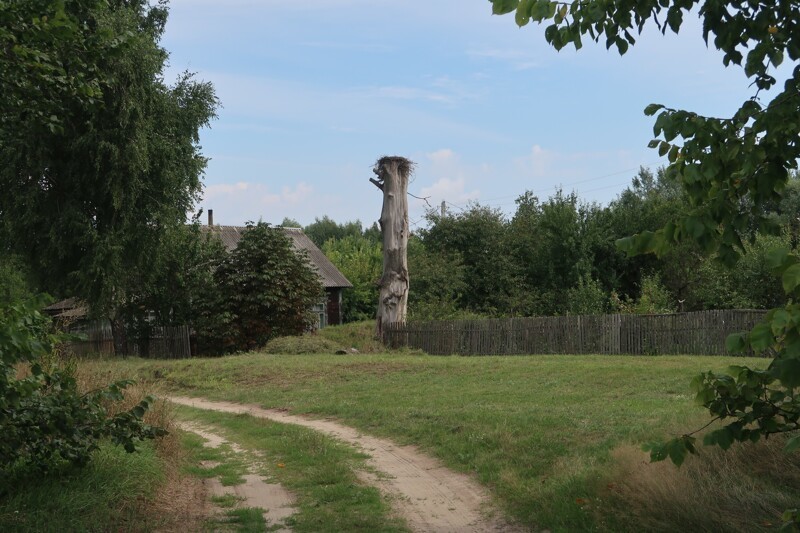 Белорусское Полесье.  Деревня на болоте