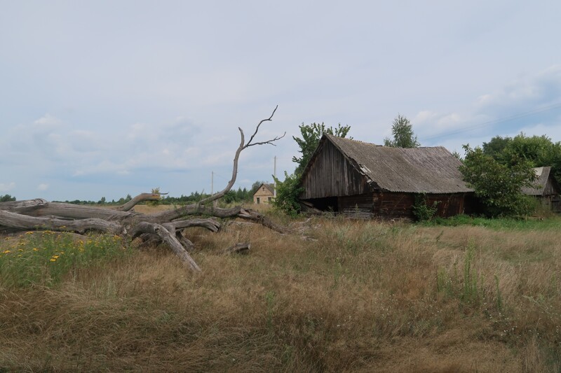 Белорусское Полесье.  Деревня на болоте