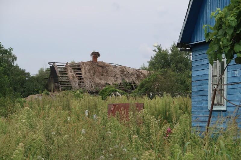 Лет 40 назад в деревне все дома были с камышовыми крышами