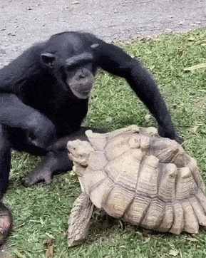 С добрым утром!