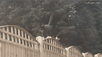 Просто гифки, всякие и разные