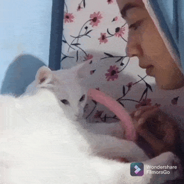 С добрым утром!