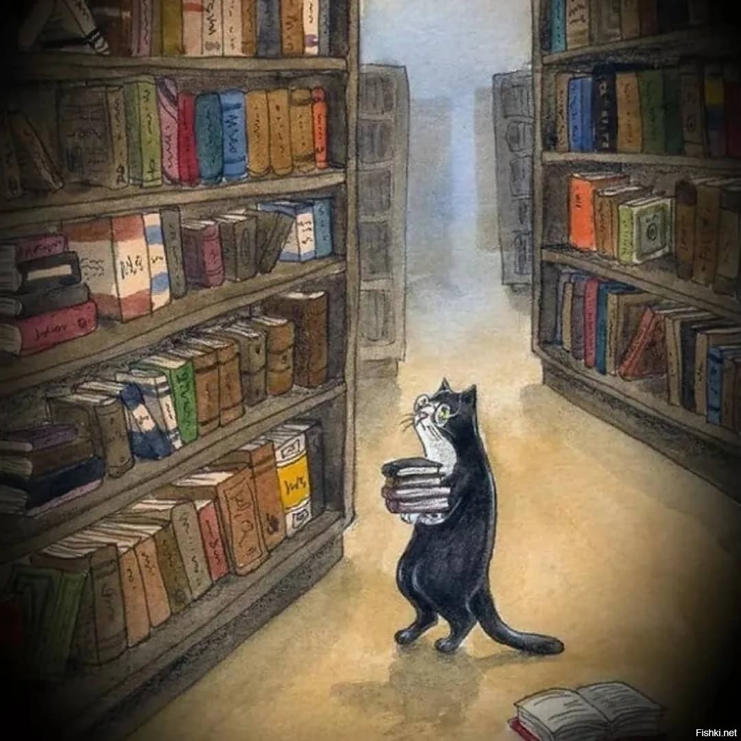 Кот в библиотеке