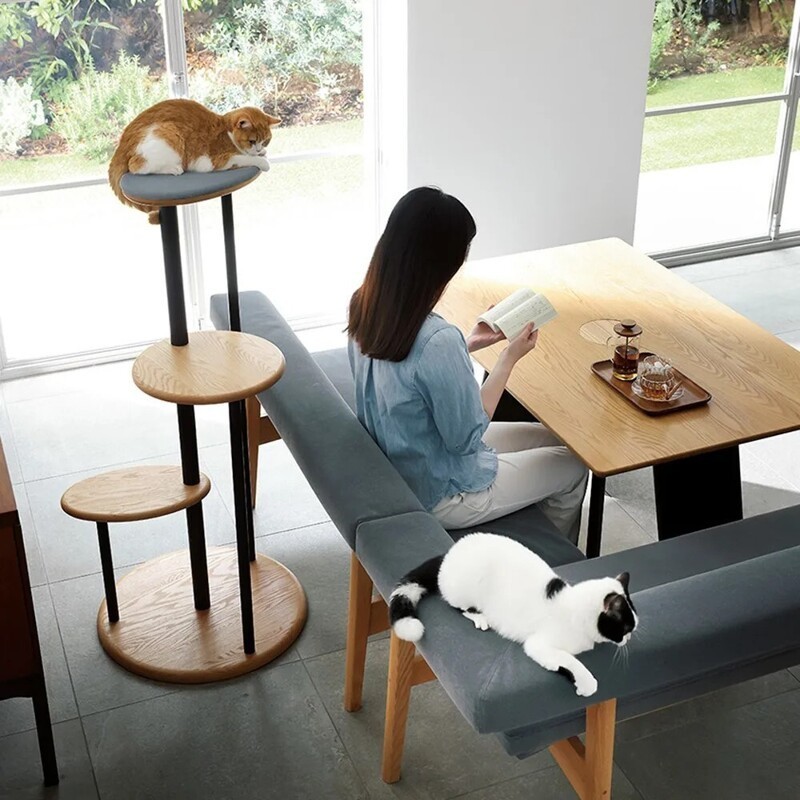 Пообедать с питомцем: в Японии придумали стол с отверстием для кота