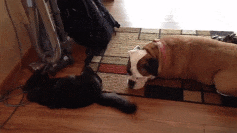 Когда она сама себя накрутила, а тебе еще за это и досталось