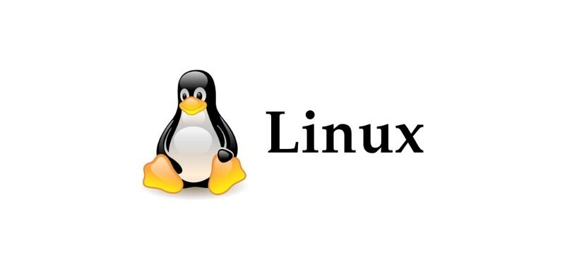 День рождения операционной системы Linux