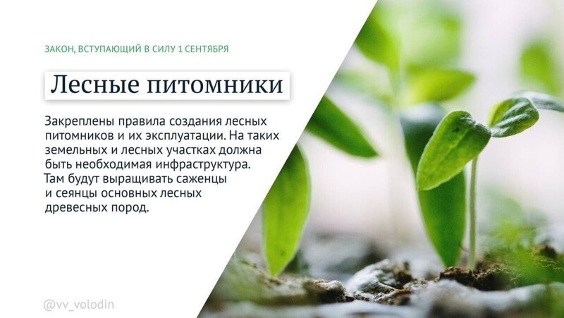 Политическая кухня