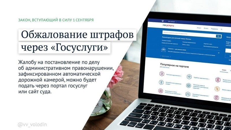 Политическая кухня