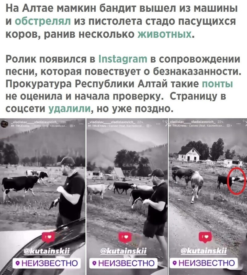 Политическая кухня