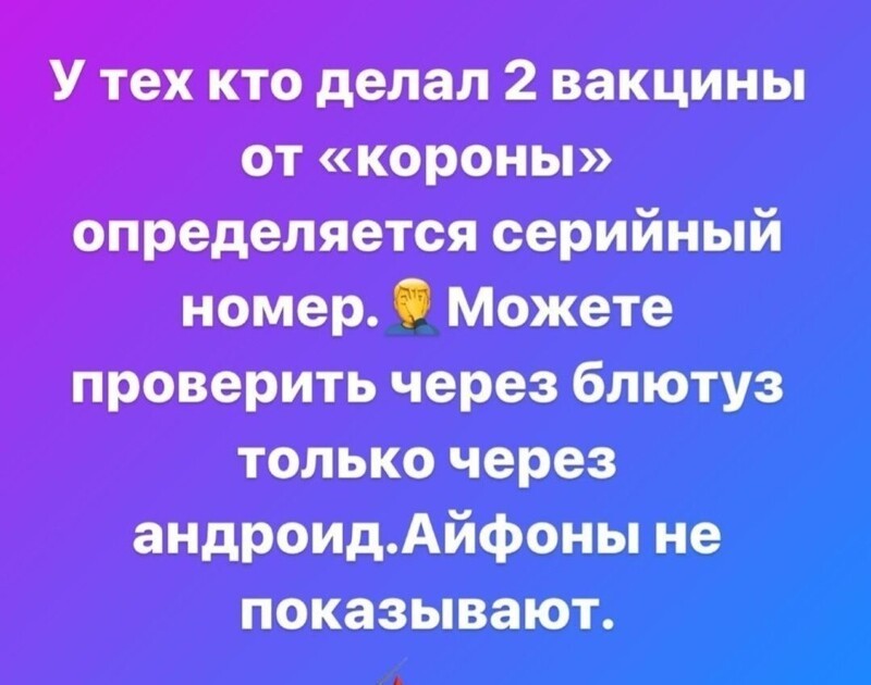 Политическая кухня