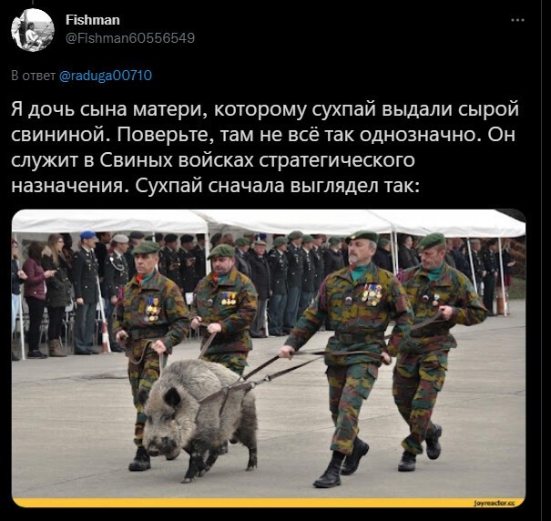 Политическая кухня