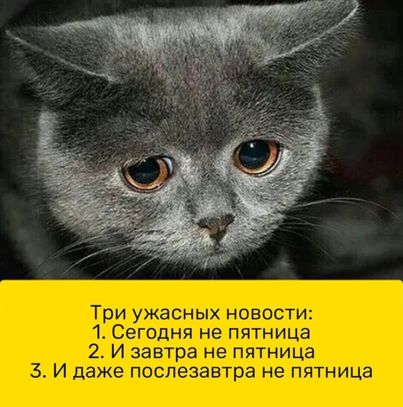 Весёлые картинки 2