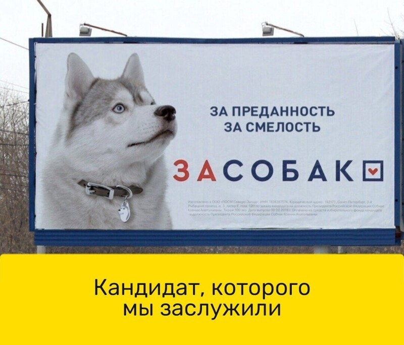 Весёлые картинки 2