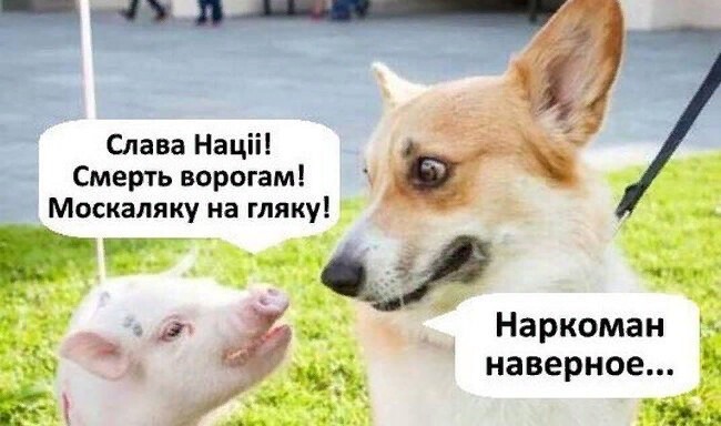 Политическая кухня (вечерний выпуск)