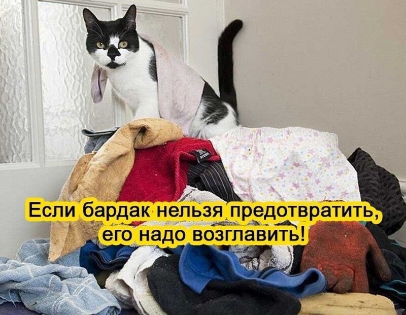 В политике тоже так!