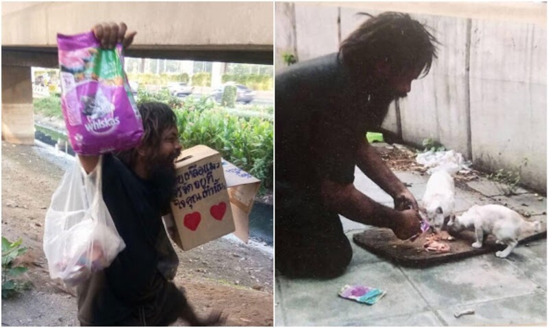 Бездомный мужчина покупает на собранные на улице деньги корм для бродячих кошек, и всегда кормит их