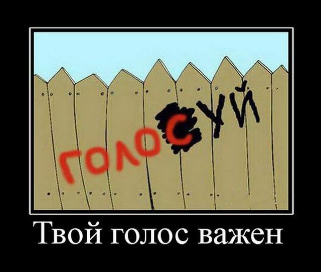 Голосуй не голосуй все равно получишь картинки