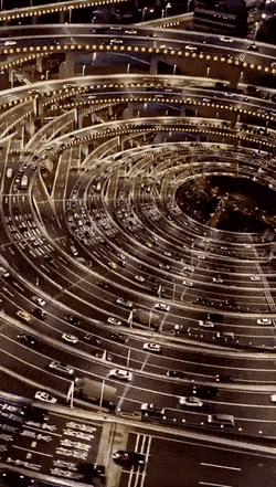 Большой муравейник