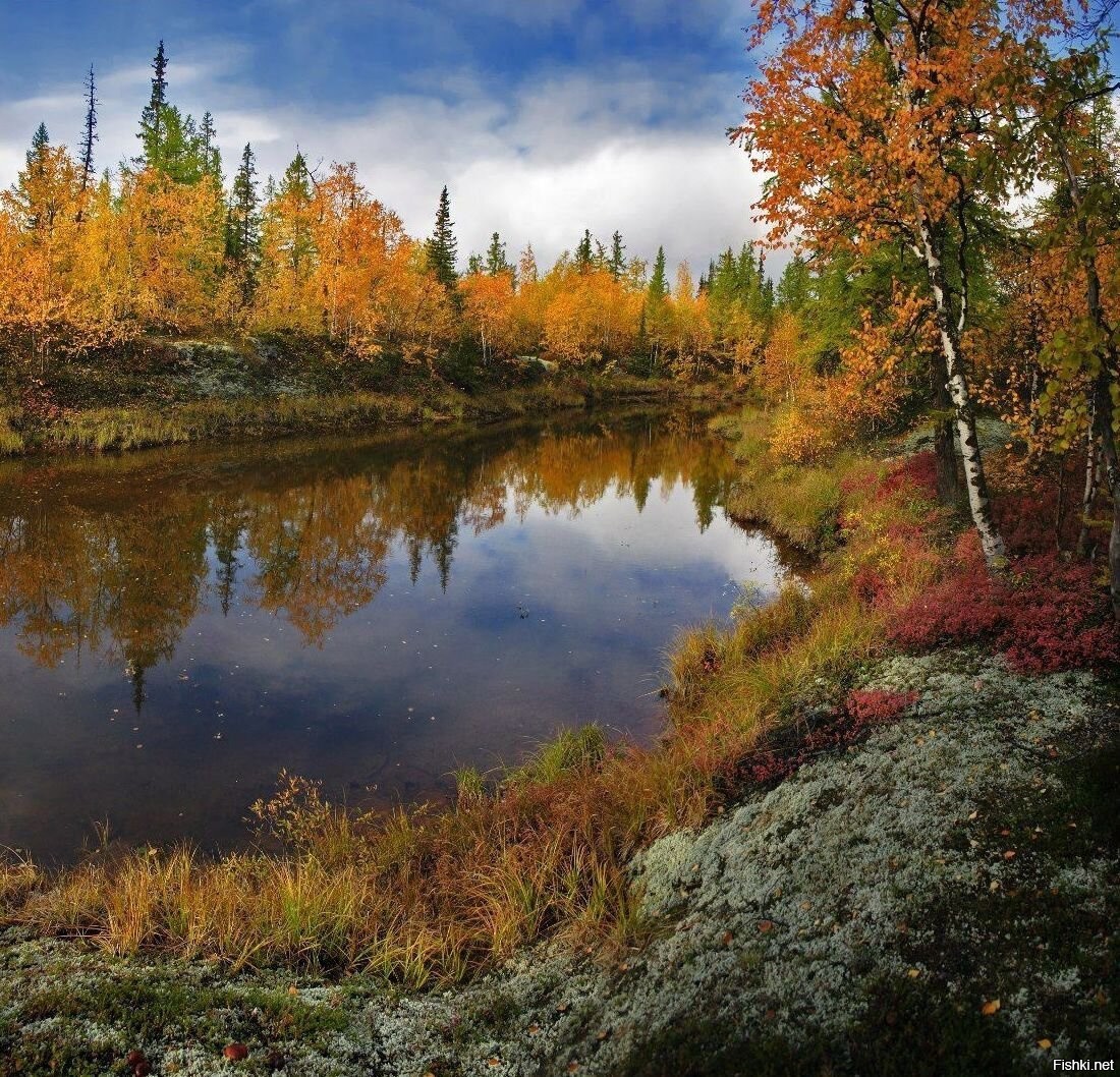 Осенние Фото России