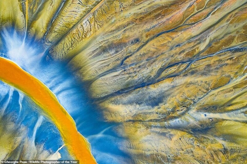 Гипнотические узоры в долине Геамана, горы Апушени, Румыния. Фотограф - Gheorghe Popa