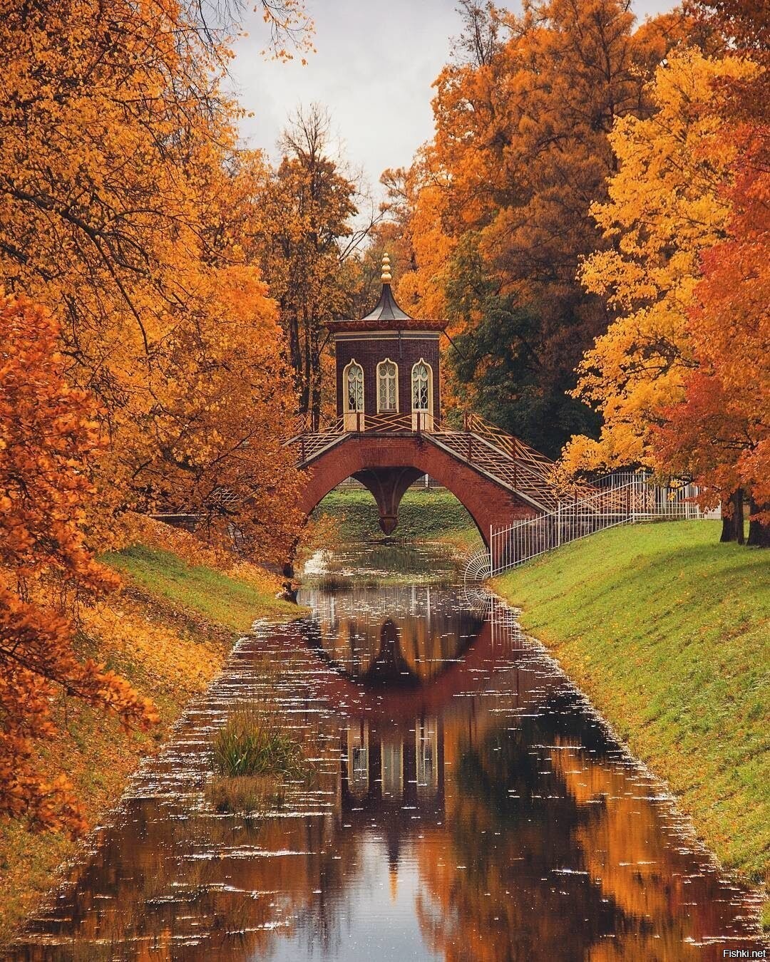 Места октябрь. Александровский парк Царское село осень. Царское село осенью Александровский парк. Александровский парк Пушкин Санкт Петербург осень. Царскосельский парк Пушкин.