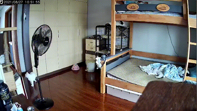 Нарушители покоя