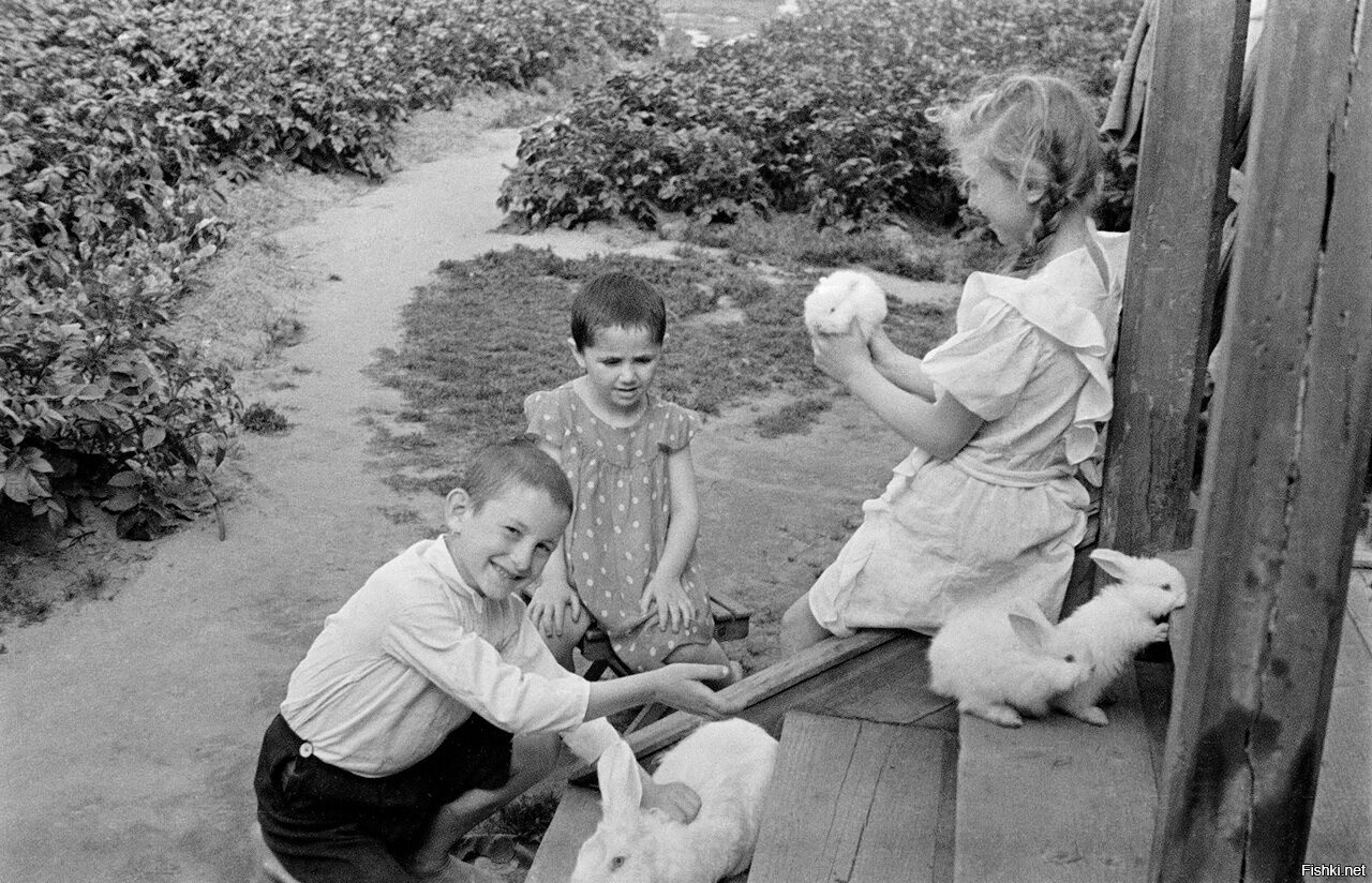 Жизнь советского ребенка. Счастливое советское детство. Счастливые советские дети. Счастливое довоенное детство. Дети довоенного времени.