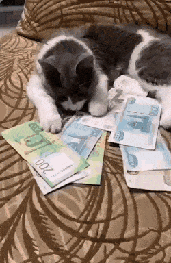 Надежнее чем в банке