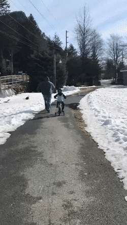 Хорошо хоть ребенку шлем одел