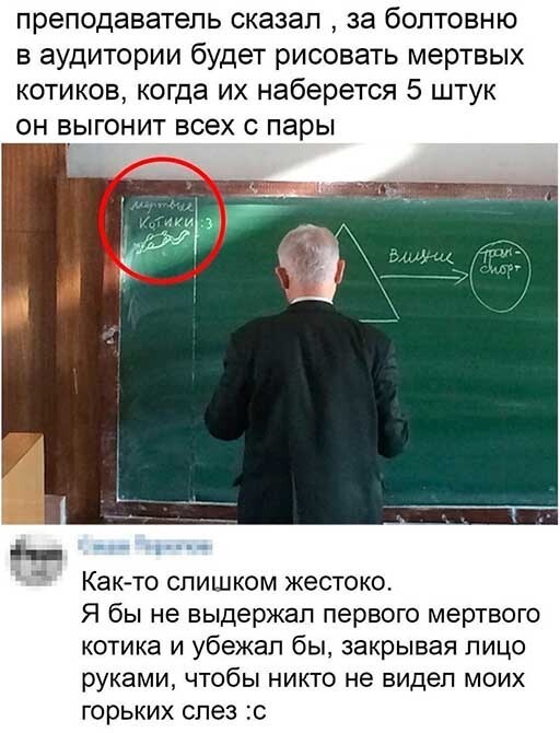 Смешные и познавательные картинки