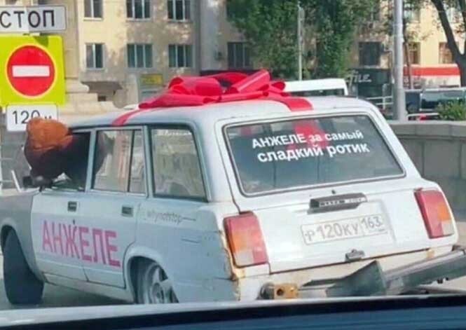 Смешные и познавательные картинки