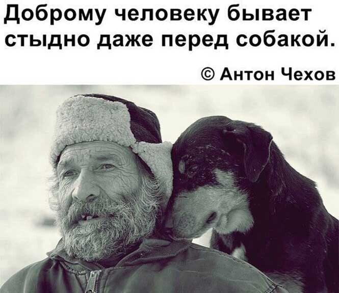 Смешные и познавательные картинки