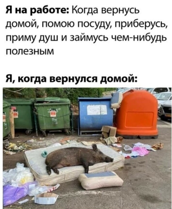 Приколы от души