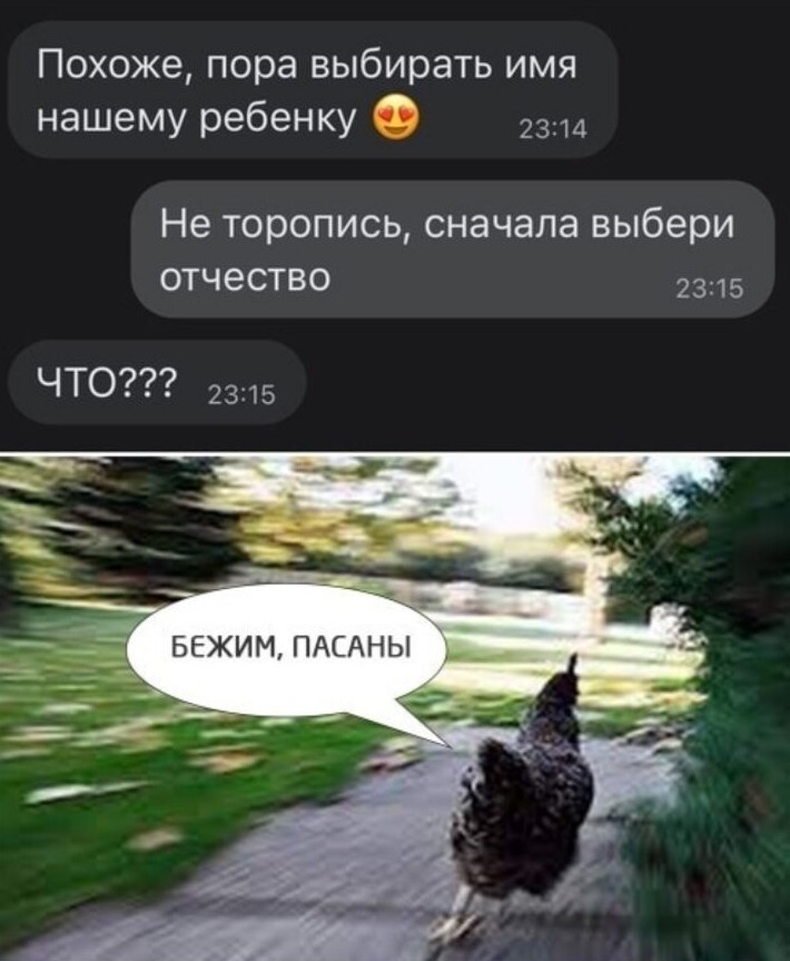 Приколы от души