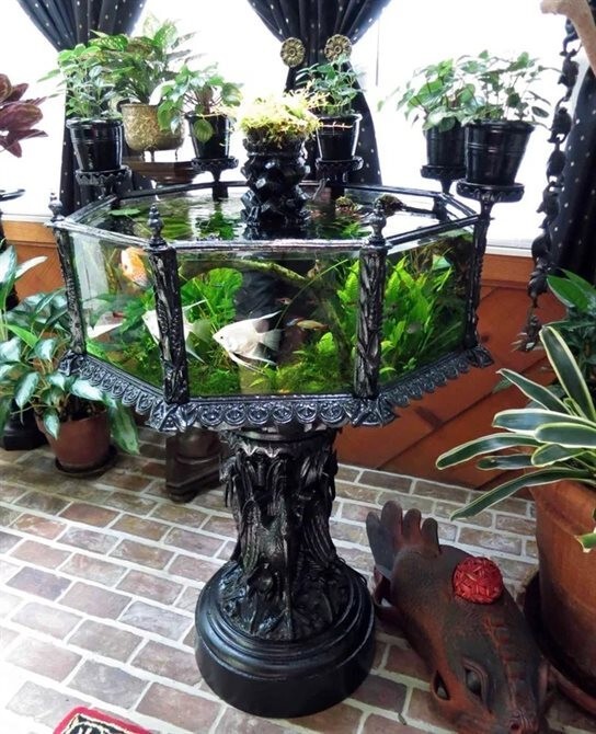 Хочу, хочу, хочу!