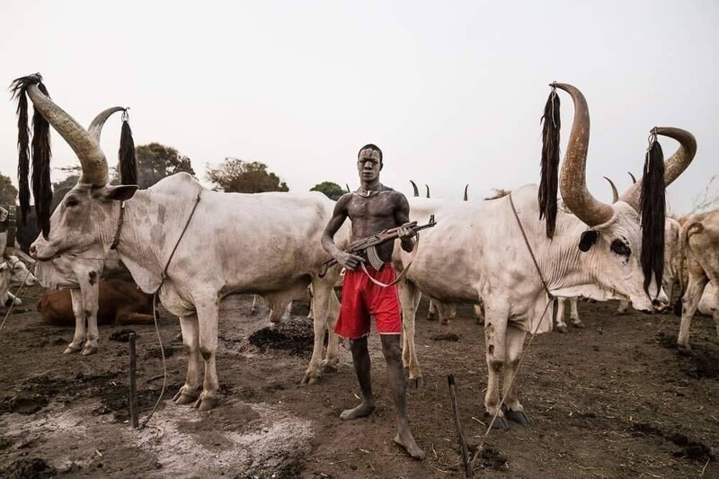 Мужчина племени Мундари охраняет свое стадо с помощью автомата Калашникова, Южный Судан, 2016 год