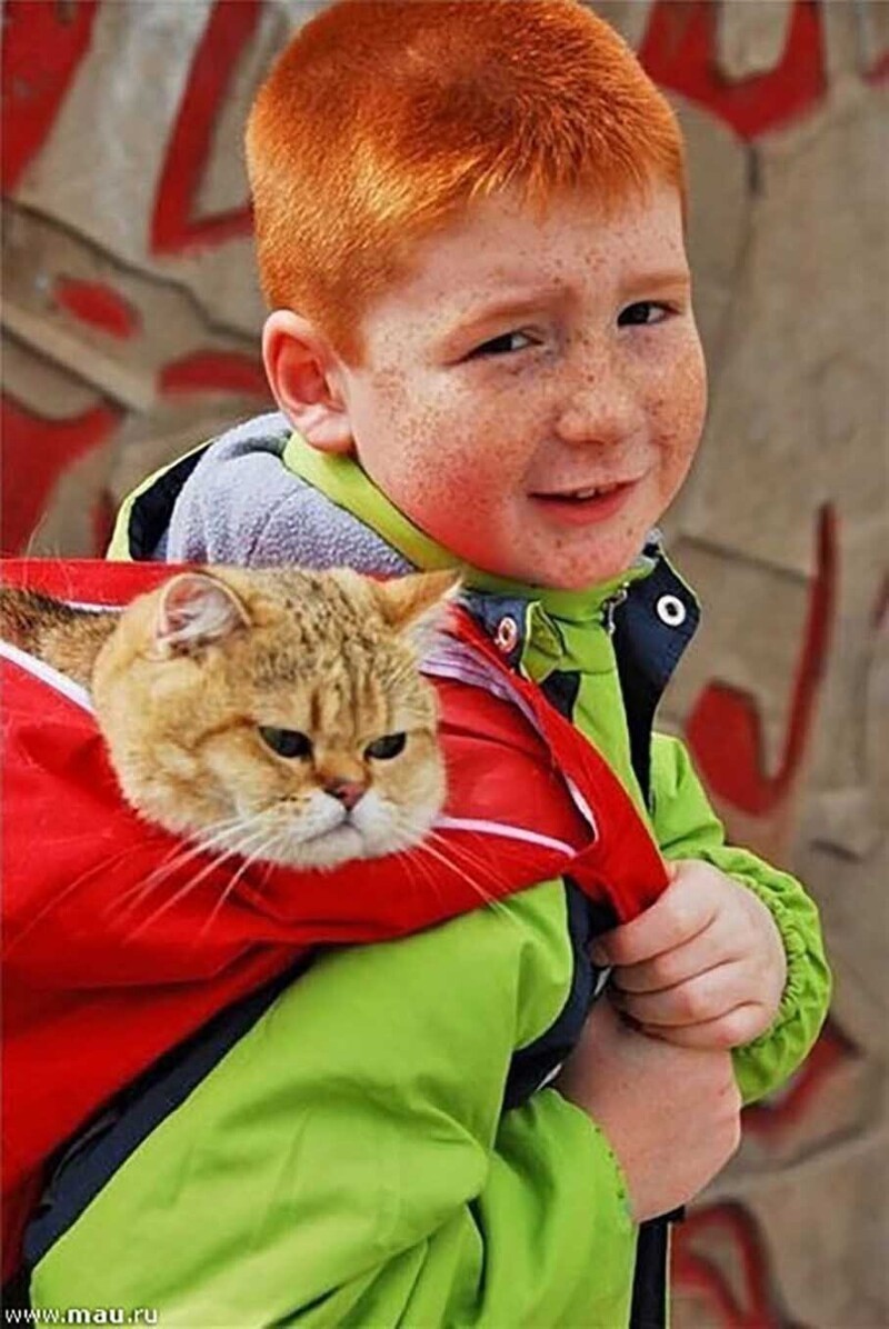 Рыжий мальчик с рыжим котом