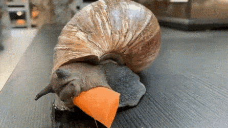 Просто гифки, всякие и разные