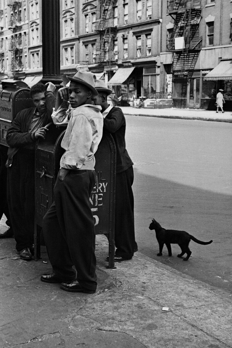 Гарлемские парни с чёрной кошкой, 1940.